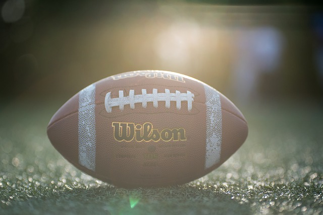 安基山的魅 安基山的魅