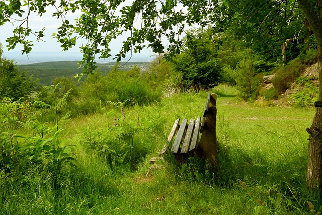 因素共同作 因素共同作