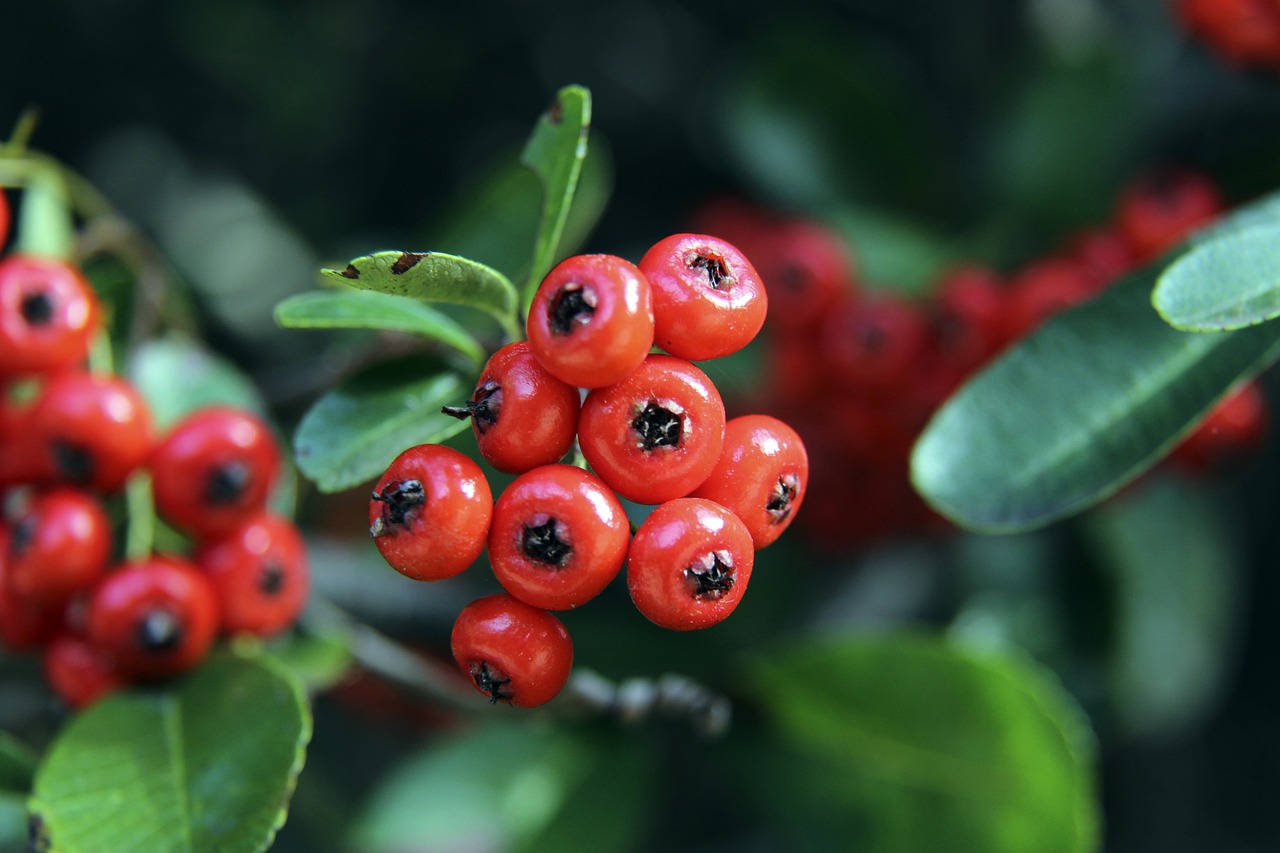 她指出颜骏 她指出颜骏