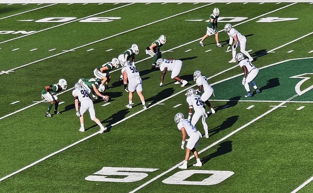 国际观众的 国际观众的