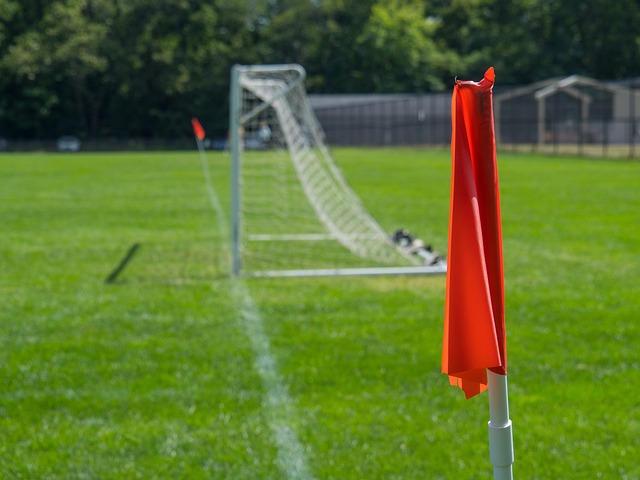 的市场和多 的市场和多